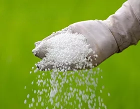 Photo of Ammonium Sulfate Blog