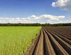Ammonium Sulfate Environmental Issues Image
